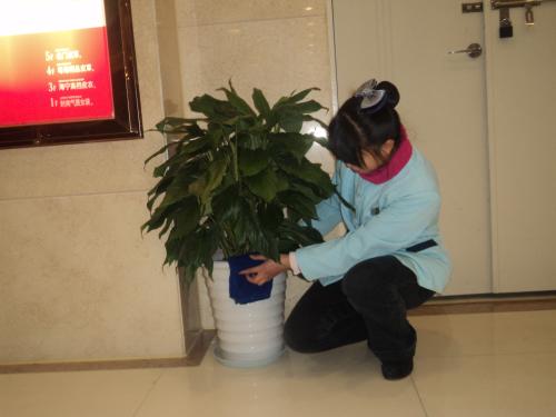 上海打掃衛(wèi)生公司 上海打掃衛(wèi)生公司