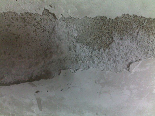 廠房涂料粉刷服務